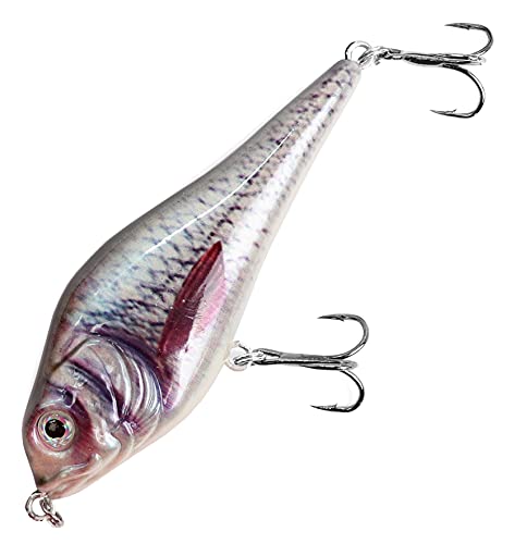 Major Fish Medium Jerk Jerkbait 10 cm Hecht Wobbler Kunstköder zum Hecht Angeln Real Roach von Major Fish