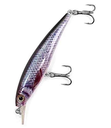 Major Fish Zander Wobbler Hecht Barsch Hardbait Flachläufer 10 cm Real Roach Major Fish Zander Wobbler Hecht Barsch Hardbait Flachläufer 10 cm Real Roach von Major Fish