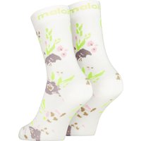Maloja RasunM. Socken Maloja RasunM. Socken von Maloja