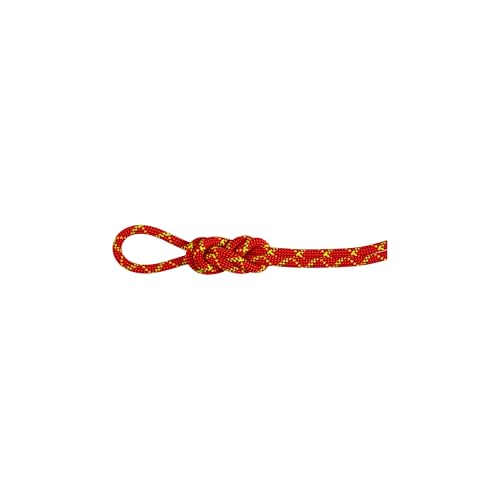 Mammut 8.0 Alpine Core Protect Dry Rope 60m Mammut 8.0 Alpine Core Protect Dry Rope 60m von Mammut
