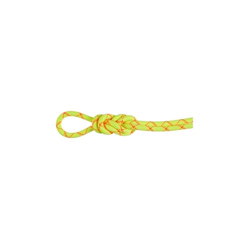 Mammut 9.5 Alpine Core Protect Dry Rope 30m von Mammut