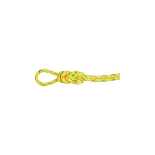 Mammut 9.5 Alpine Core Protect Dry Rope 50m Mammut 9.5 Alpine Core Protect Dry Rope 50m von Mammut