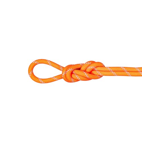 Mammut 9.5 Alpine Dry Rope 50m Mammut 9.5 Alpine Dry Rope 50m von Mammut