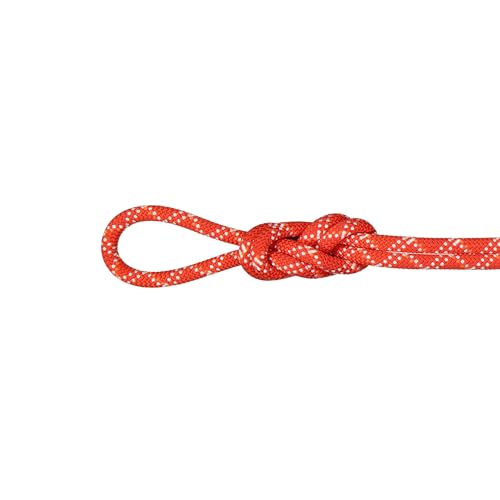 Mammut 9.5 Gym Classic Rope 40m Mammut 9.5 Gym Classic Rope 40m von Mammut