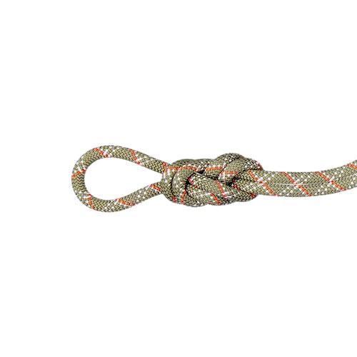 Mammut 9.5 Gym Classic Rope 40m Mammut 9.5 Gym Classic Rope 40m von Mammut