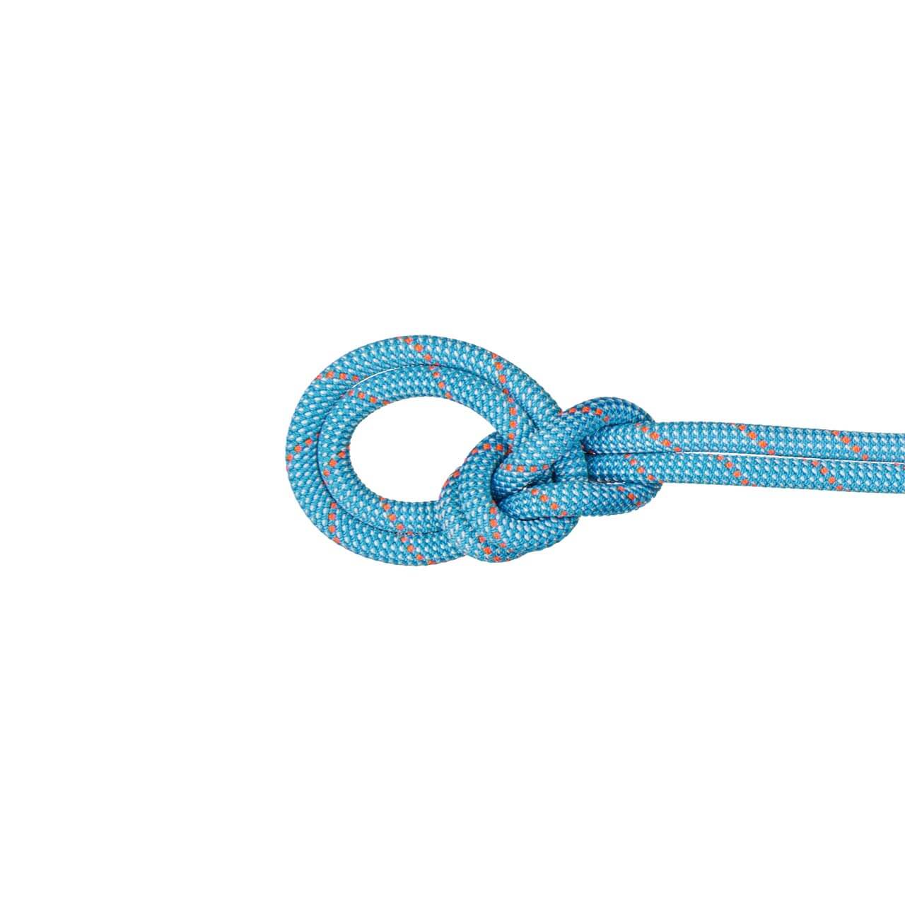 Mammut 9.8 Einfachseil Crag Classic - Ice Mint/White, 60 m von Mammut}