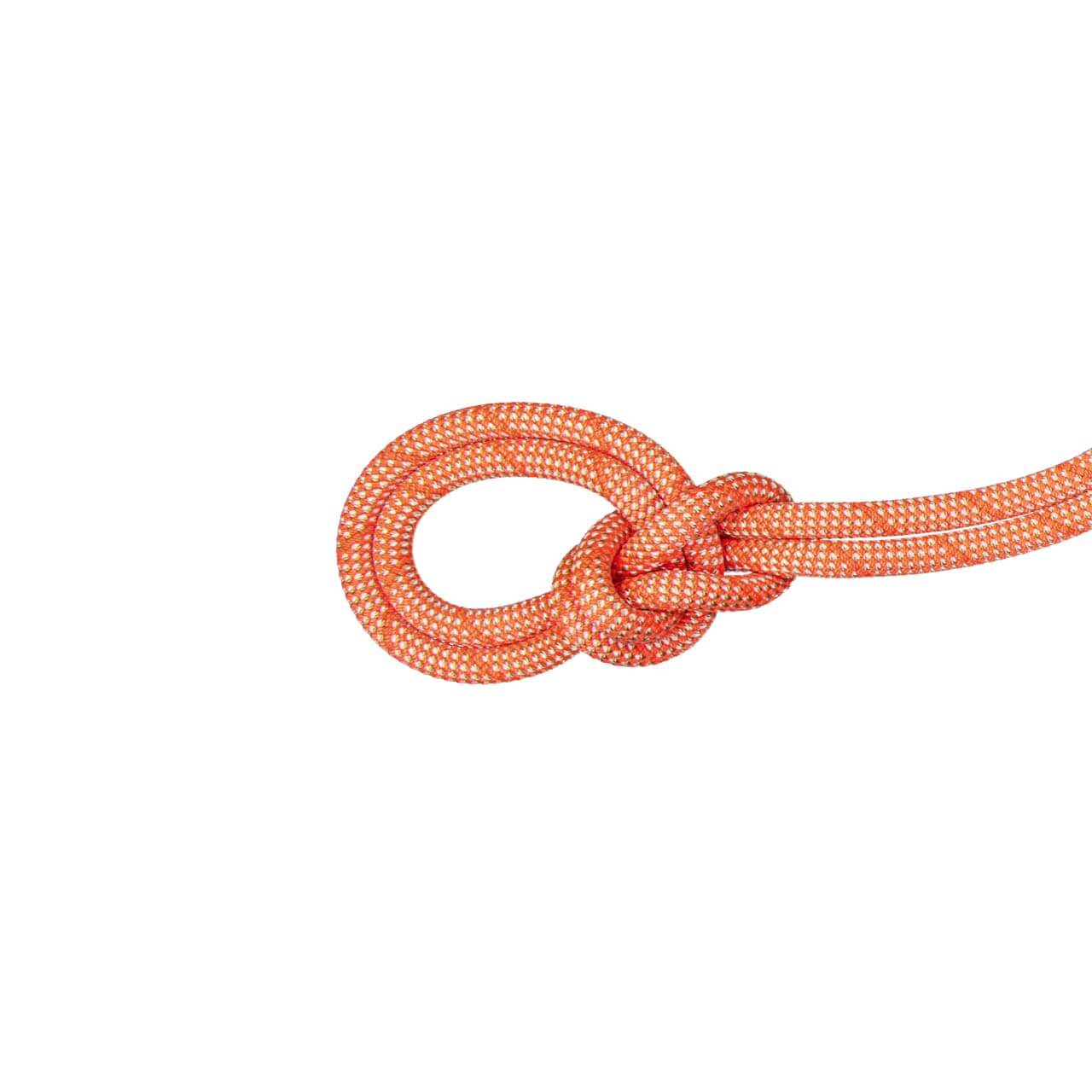 Mammut 9.8 Einfachseil Crag Classic - Orange/White, 60 m von Mammut