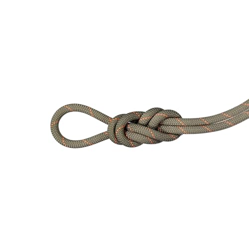 Mammut 9.9 Gym Workhorse Classic Rope 40m Mammut 9.9 Gym Workhorse Classic Rope 40m von Mammut