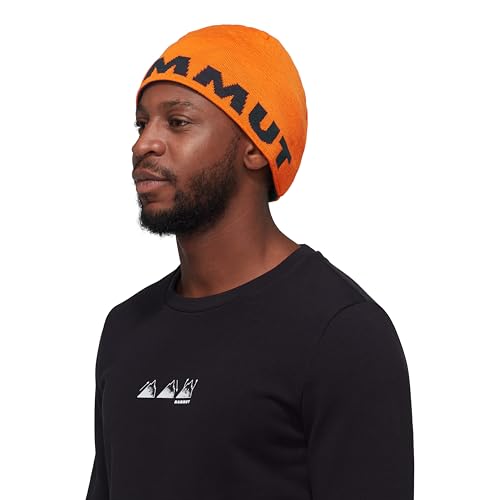 Mammut Logo Beanie Mütze Arumita Night Standardgröße, arumita Night, One Size von Mammut