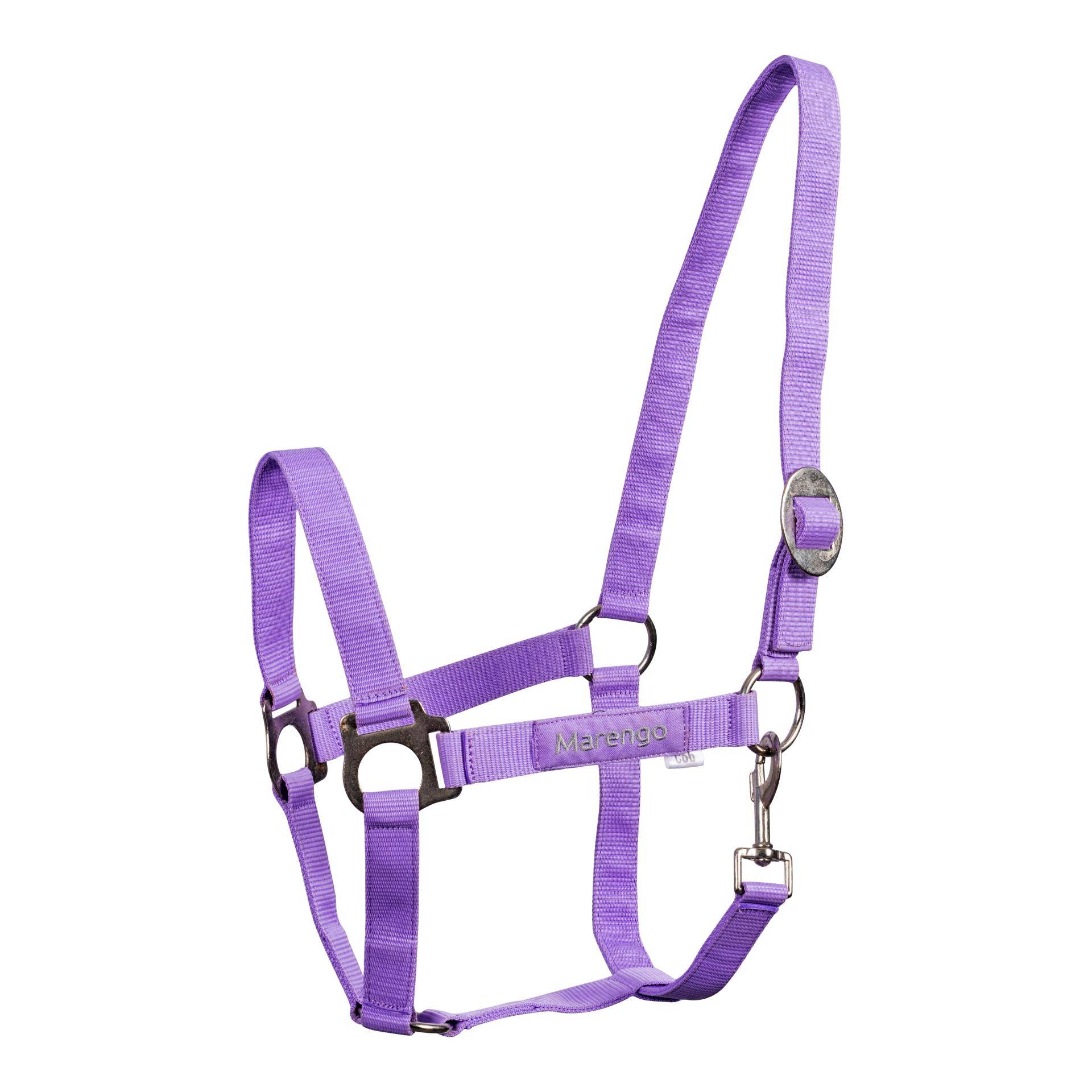 Marengo Nylonhalfter Basic Farbe: Lilac Sunset, Grösse Pferd: Full Marengo Nylonhalfter Basic Farbe: Lilac Sunset, Grösse Pferd: Full von Marengo