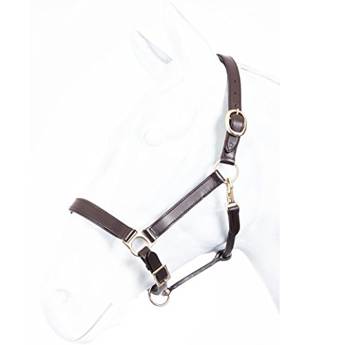Lederhalfter ROBUST Marengos braun Pony Lederhalfter ROBUST Marengos braun Pony von Marengos