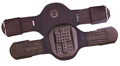 Euroriding Kurzgurt Privilège Equitation Dressage, Farbe: braun, Große: 75 Euroriding Kurzgurt Privilège Equitation Dressage, Farbe: braun, Große: 75 von Marke: Euroriding
