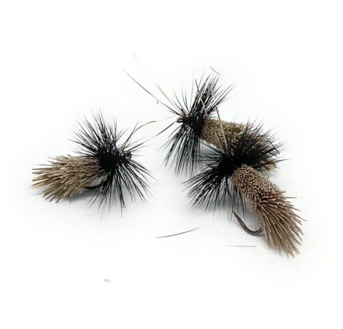 Goddard Caddis Dry Fly | 9 Kunstköder (schwarz) von Massimo Clini