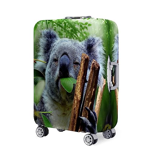 Mateju Elastisch Kofferschutzhülle, 18-32 Zoll Koala Kofferhülle Waschbar Koffer Schutzhülle aus Polyester Kofferschutz Koffer Hülle mit Reißverschluss (Dunkelgrün,M(22”-24”)) von Mateju