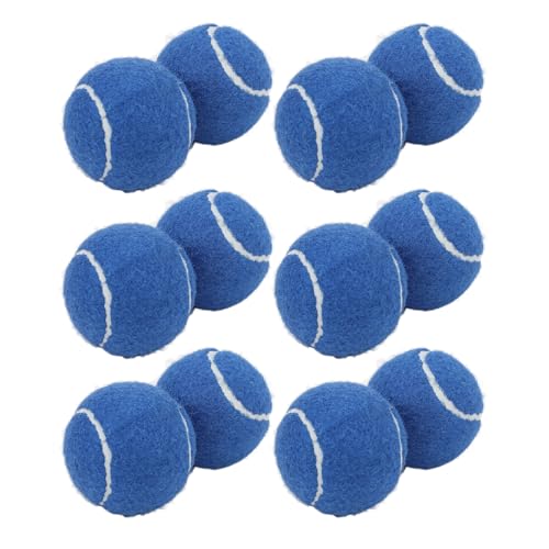 Mayueri 12er-Pack Tennisbälle, Drucktrainingsbälle aus Gummifilz mit Aufbewahrungstasche Anfängertraining, Ideal Familienspaß oder Hundehaustiere (Blau) von Mayueri