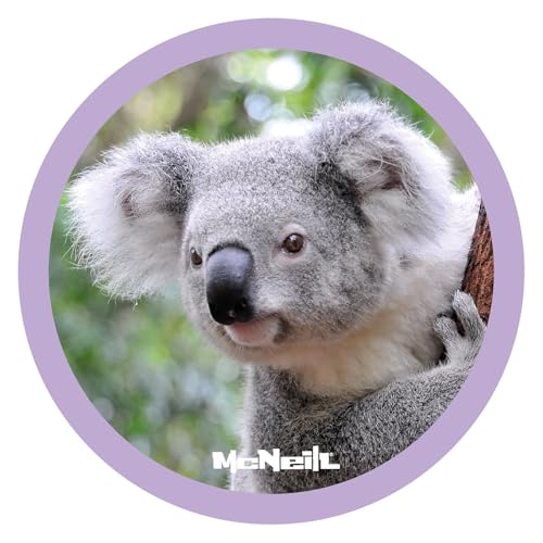 McNeill McAddy Koala von McNeill