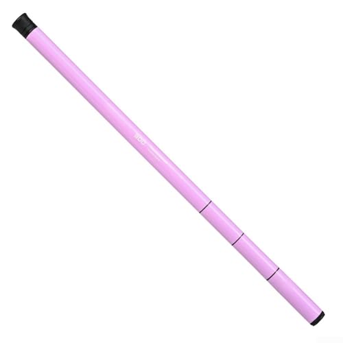 ML Power Fiberglas Teleskop Angelrute 300cm Länge für kleine Hände (Rosa) von MeevrgR