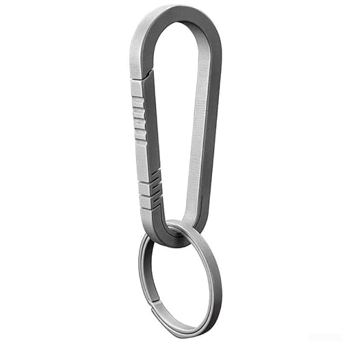 Praktischer Karabiner-Schlüsselanhänger, Titanlegierung, Rucksack-Hängeschnalle, leicht, für den Außenbereich (groß, grau mit Ring) von MeevrgR