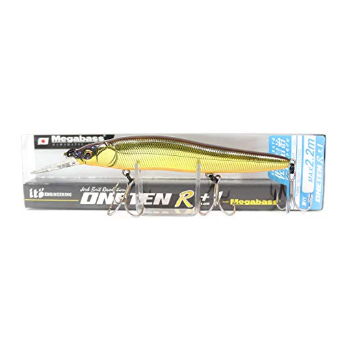 Megabass Vision OneTen R+1 Wobbler Jerkbait 11cm 14g M Champagne Kinkuro Megabass Vision OneTen R+1 Wobbler Jerkbait 11cm 14g M Champagne Kinkuro von Megabass