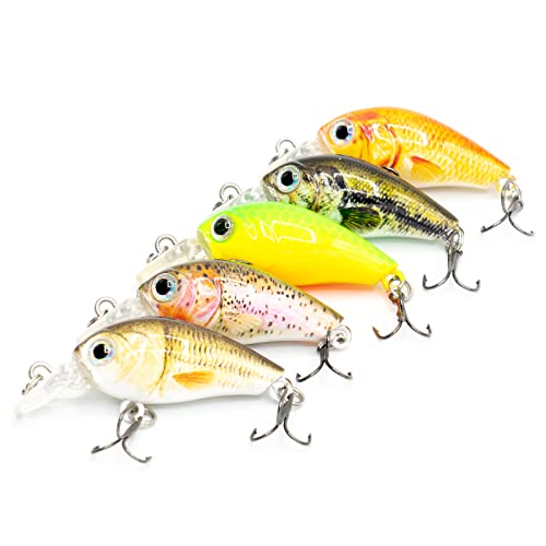 Mister Tackle BX-1 Angelköder Wobbler Set Crankbaits für Barsch und Forelle Spinnfischen - 5 Kunstköder Inklusive Box Mister Tackle BX-1 Angelköder Wobbler Set Crankbaits für Barsch und Forelle Spinnfischen - 5 Kunstköder Inklusive Box von Mister Tackle