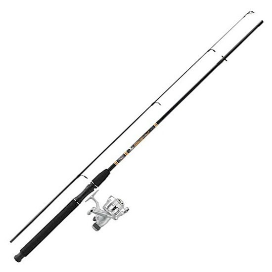 Mitchell Gt Pro Spinning Combo Silber 2.40 m / 10-30 g Mitchell Gt Pro Spinning Combo Silber 2.40 m / 10-30 g von Mitchell