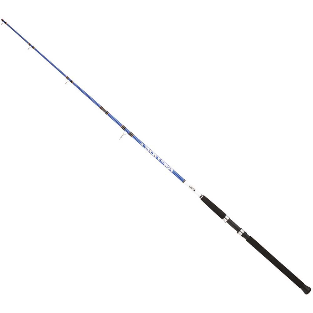 Mitchell Riptide R Dorade Spinning Rod Blau 2.40 m / 100-300 g Mitchell Riptide R Dorade Spinning Rod Blau 2.40 m / 100-300 g von Mitchell