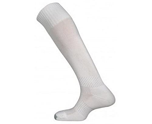 Mitre Mercury Fußballsocken für Kinder, einfarbig | Fußballmannschaft-Kit | leichte lange Sportsocke | atmungsaktiv, weiß, Junior (35 – 39) Mitre Mercury Fußballsocken für Kinder, einfarbig | Fußballmannschaft-Kit | leichte lange Sportsocke | atmungsaktiv, weiß, Junior (35 – 39) von Mitre