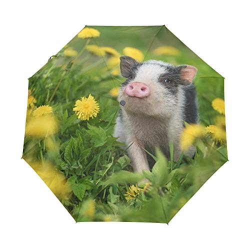 Schwein mit Blume Faltbarer Regenschirm Winddicht Regen Automatisch Öffnen Schließen Reise Regenschirm UV-Schutz für Damen Herren Schwein mit Blume Faltbarer Regenschirm Winddicht Regen Automatisch Öffnen Schließen Reise Regenschirm UV-Schutz für Damen Herren von Mnsruu