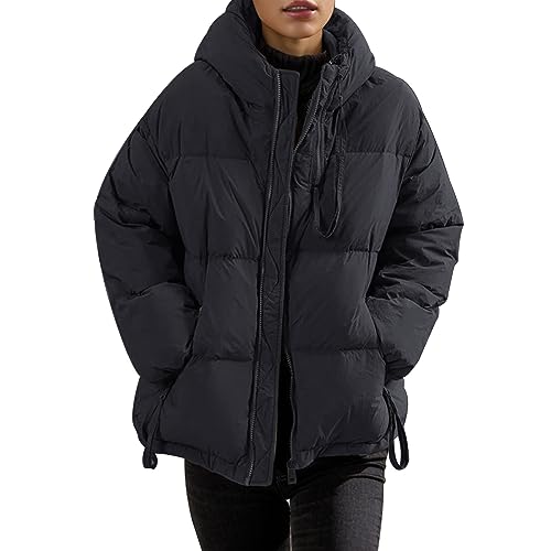 Wintermantel Für Damen, Damen Wintermantel Lang Warm Elegant Steppmantel Damen Elegant Lang Winterjacke Jacke Puffer Oversize Daunenmantel Wintermantel Warme Langarm Mantel Skijacke Outdoorjacke von Mobanna