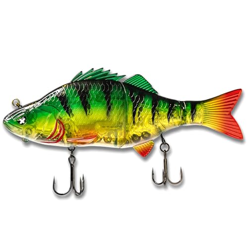 Monkey Lures Swimbait Purge Glider 17,5 cm - Floating Glidebait, Swimbait Hecht, Hecht Köder groß, Bigbait Hechtköder, Big Bait zum Hecht Angeln, Raubfisch Köder (Perch Scam) Monkey Lures Swimbait Purge Glider 17,5 cm - Floating Glidebait, Swimbait Hecht, Hecht Köder groß, Bigbait Hechtköder, Big Bait zum Hecht Angeln, Raubfisch Köder (Perch Scam) von Monkey Lures