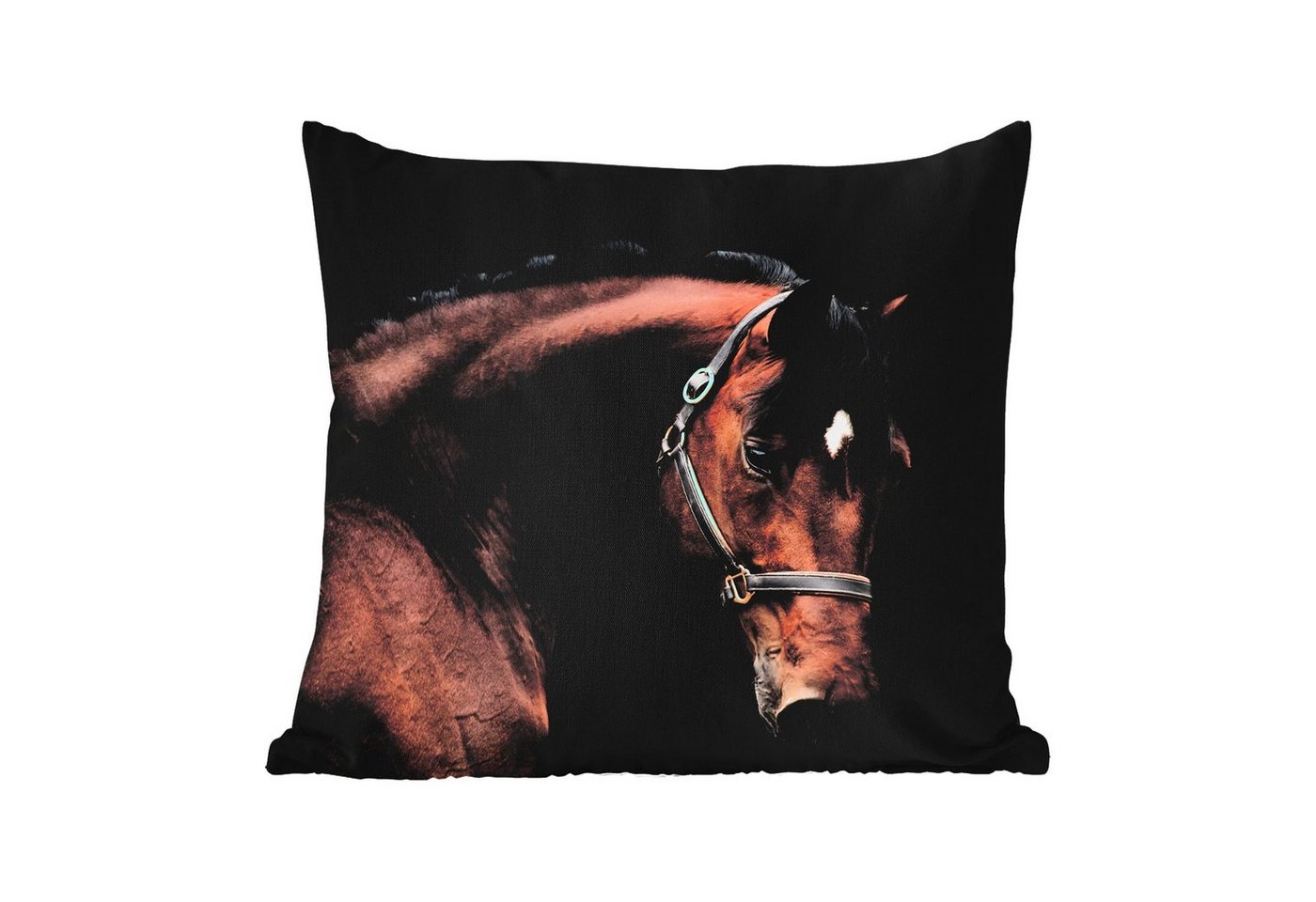 MuchoWow Dekokissen Pferd - Leicht - Halfter, Outdoor-Dekorationskissen, Kissen, Kissenbezug, 50x30 cm MuchoWow Dekokissen Pferd - Leicht - Halfter, Outdoor-Dekorationskissen, Kissen, Kissenbezug, 50x30 cm von MuchoWow