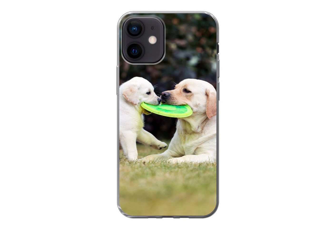 MuchoWow Handyhülle Hund mit seinem Welpen und einem Frisbee, Handyhülle Apple iPhone 12, Smartphone-Bumper, Print, Handy von MuchoWow