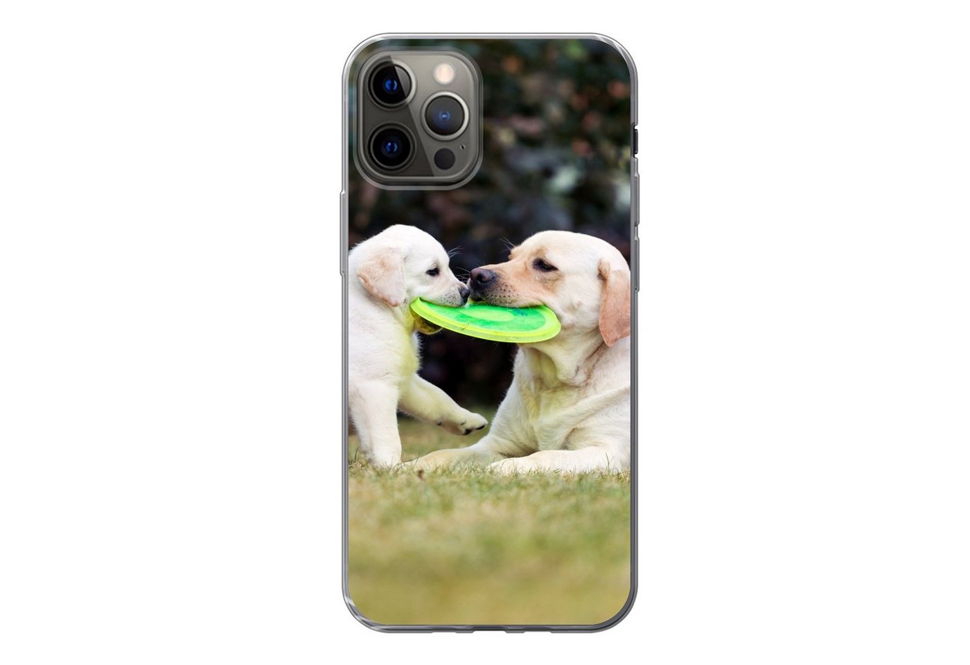 MuchoWow Handyhülle Hund mit seinem Welpen und einem Frisbee, Handyhülle Apple iPhone 12 Pro, Smartphone-Bumper, Print, Handy von MuchoWow