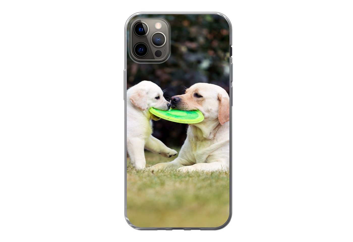 MuchoWow Handyhülle Hund mit seinem Welpen und einem Frisbee, Smartphone-Bumper, Print, Handy Schutzhülle, Handyhülle von MuchoWow