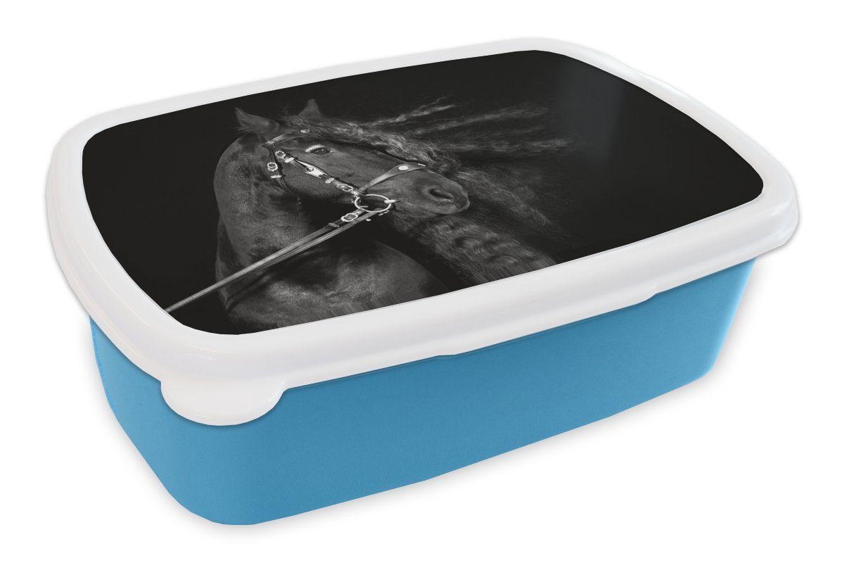 MuchoWow Lunchbox Pferd - Halfter - Mähne, Kunststoff, (2-tlg), Brotdose, Lunchbox, Brotbox für Kinder und Erwachsene MuchoWow Lunchbox Pferd - Halfter - Mähne, Kunststoff, (2-tlg), Brotdose, Lunchbox, Brotbox für Kinder und Erwachsene von MuchoWow