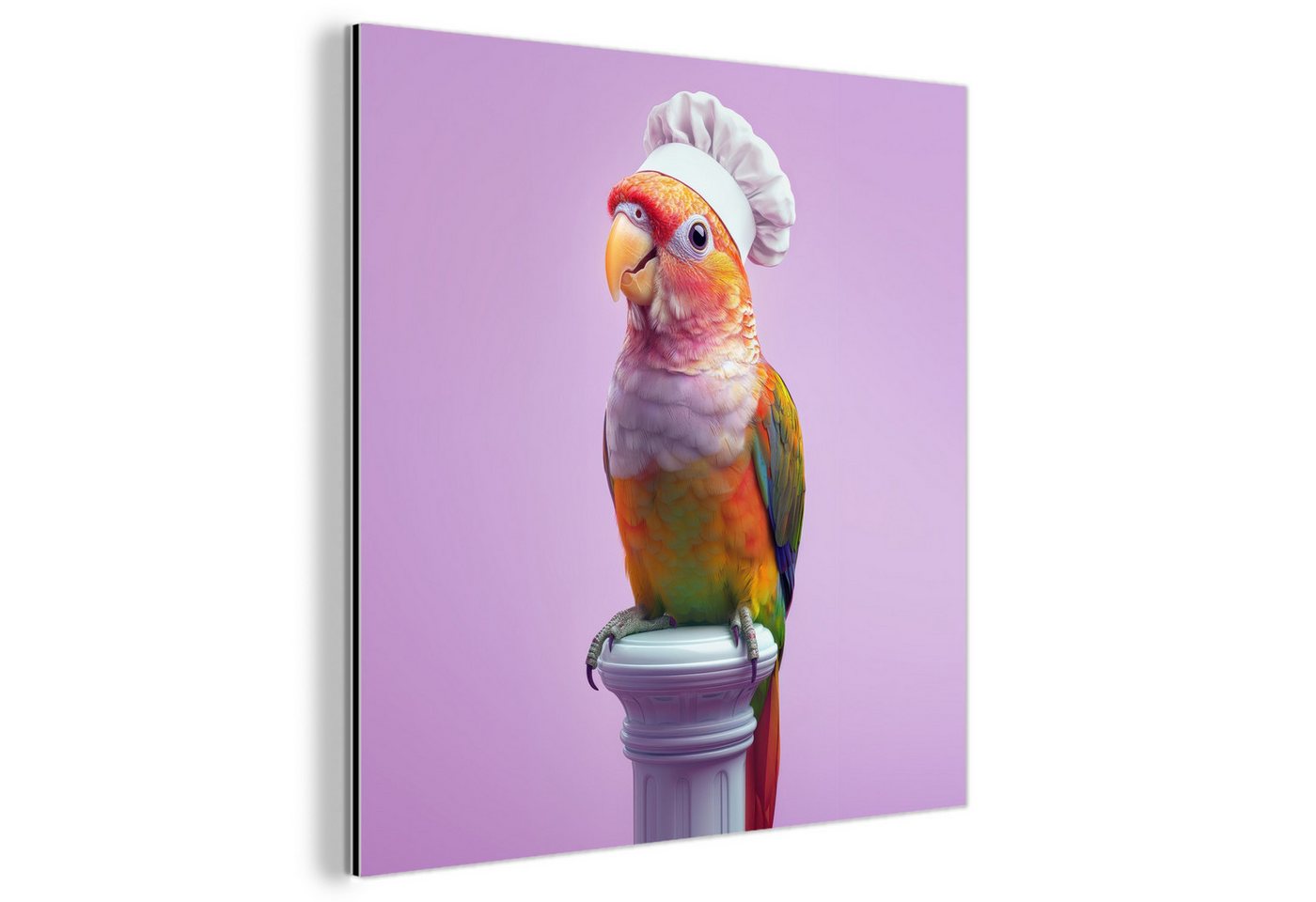MuchoWow Metallbild Papagei - Kochmütze - Säule - Vogel, Inkl. Aufhängung, Alu-Dibond-Druck, Wandbild aus Metall, Aluminium deko, 20x20 cm MuchoWow Metallbild Papagei - Kochmütze - Säule - Vogel, Inkl. Aufhängung, Alu-Dibond-Druck, Wandbild aus Metall, Aluminium deko, 20x20 cm von MuchoWow