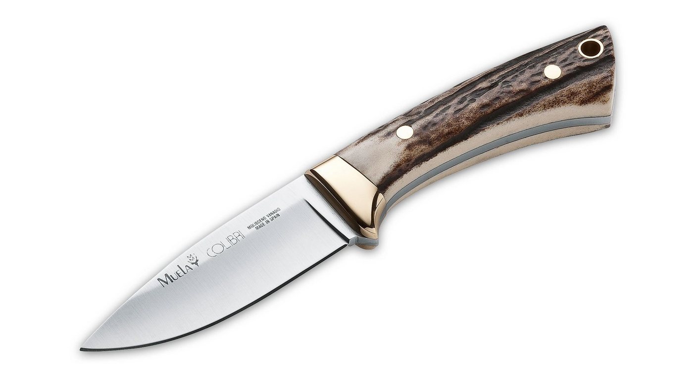 Muela Taschenmesser Muela Colibri Stag Muela Taschenmesser Muela Colibri Stag von Muela