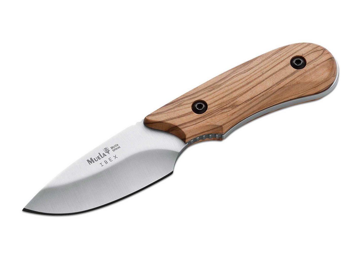 Muela Taschenmesser Muela Ibex Olive Muela Taschenmesser Muela Ibex Olive von Muela
