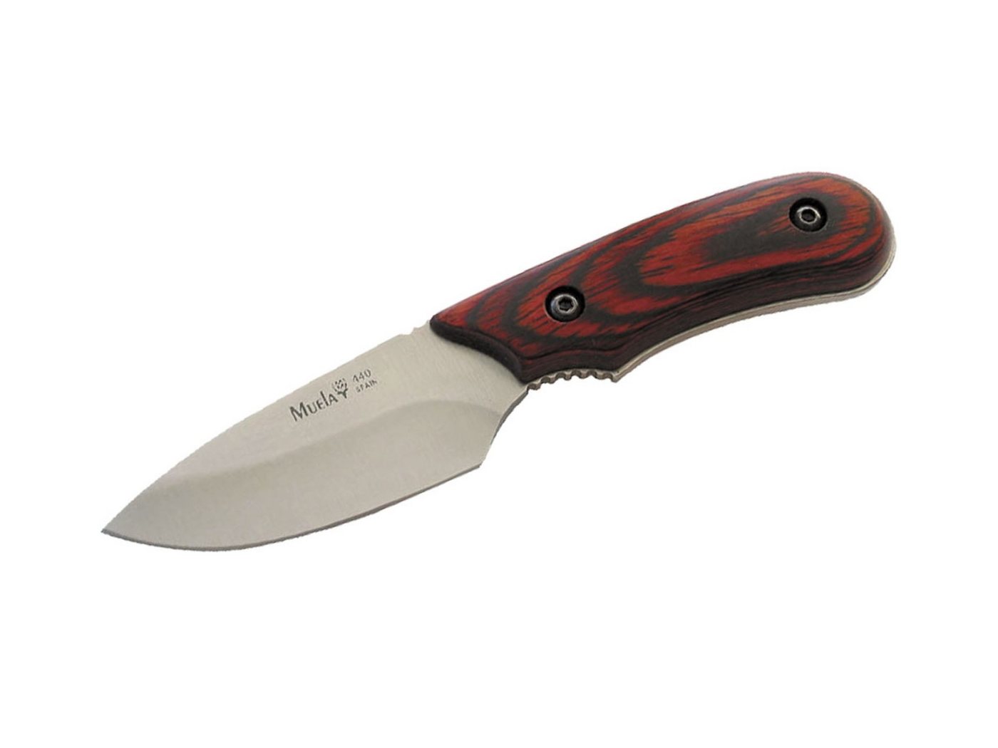 Muela Taschenmesser Muela Ibex Pakkaholz 8R Muela Taschenmesser Muela Ibex Pakkaholz 8R von Muela