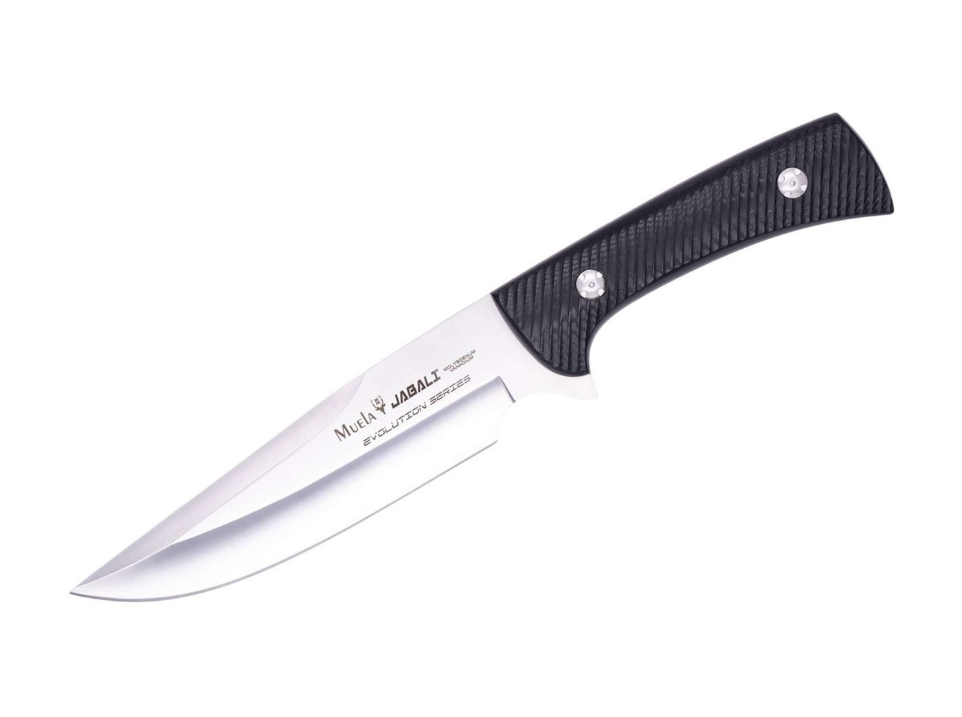 Muela Taschenmesser Muela Jabali-17M Muela Taschenmesser Muela Jabali-17M von Muela