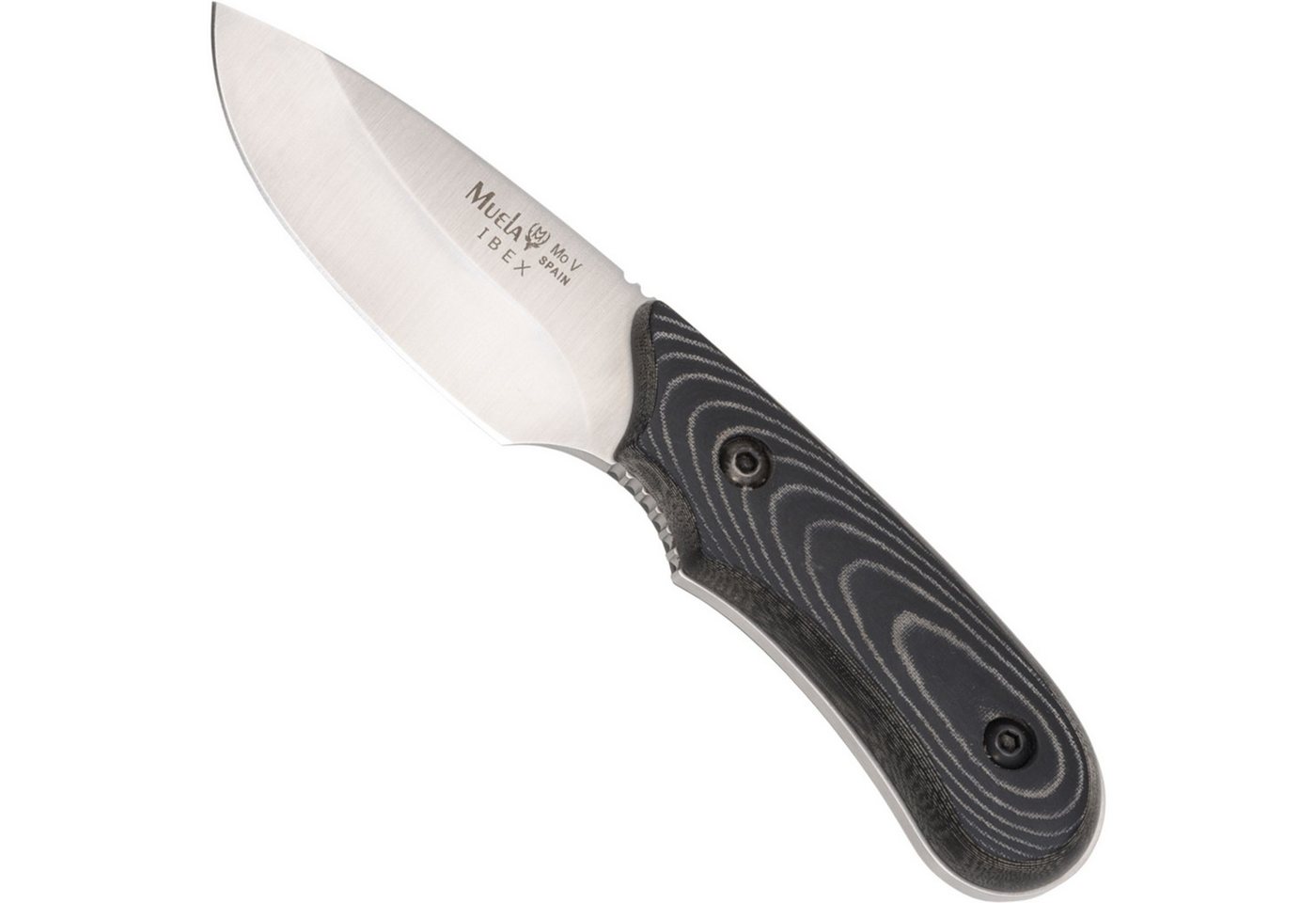 Muela Taschenmesser Muela Jagd- und Outdoormesser, Micarta, Klinge: 7 cm Muela Taschenmesser Muela Jagd- und Outdoormesser, Micarta, Klinge: 7 cm von Muela