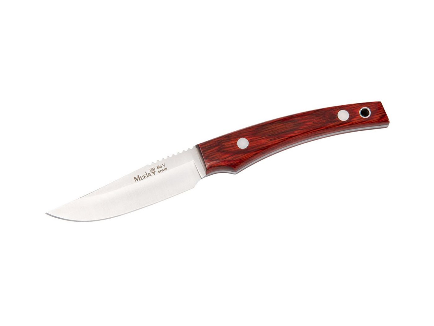 Muela Taschenmesser Muela Jagdmesser Pakkaholz LM-8R Muela Taschenmesser Muela Jagdmesser Pakkaholz LM-8R von Muela