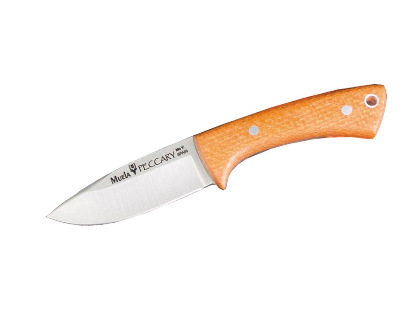 Muela Taschenmesser Muela Peccary Micarta Orange 8.O Muela Taschenmesser Muela Peccary Micarta Orange 8.O von Muela