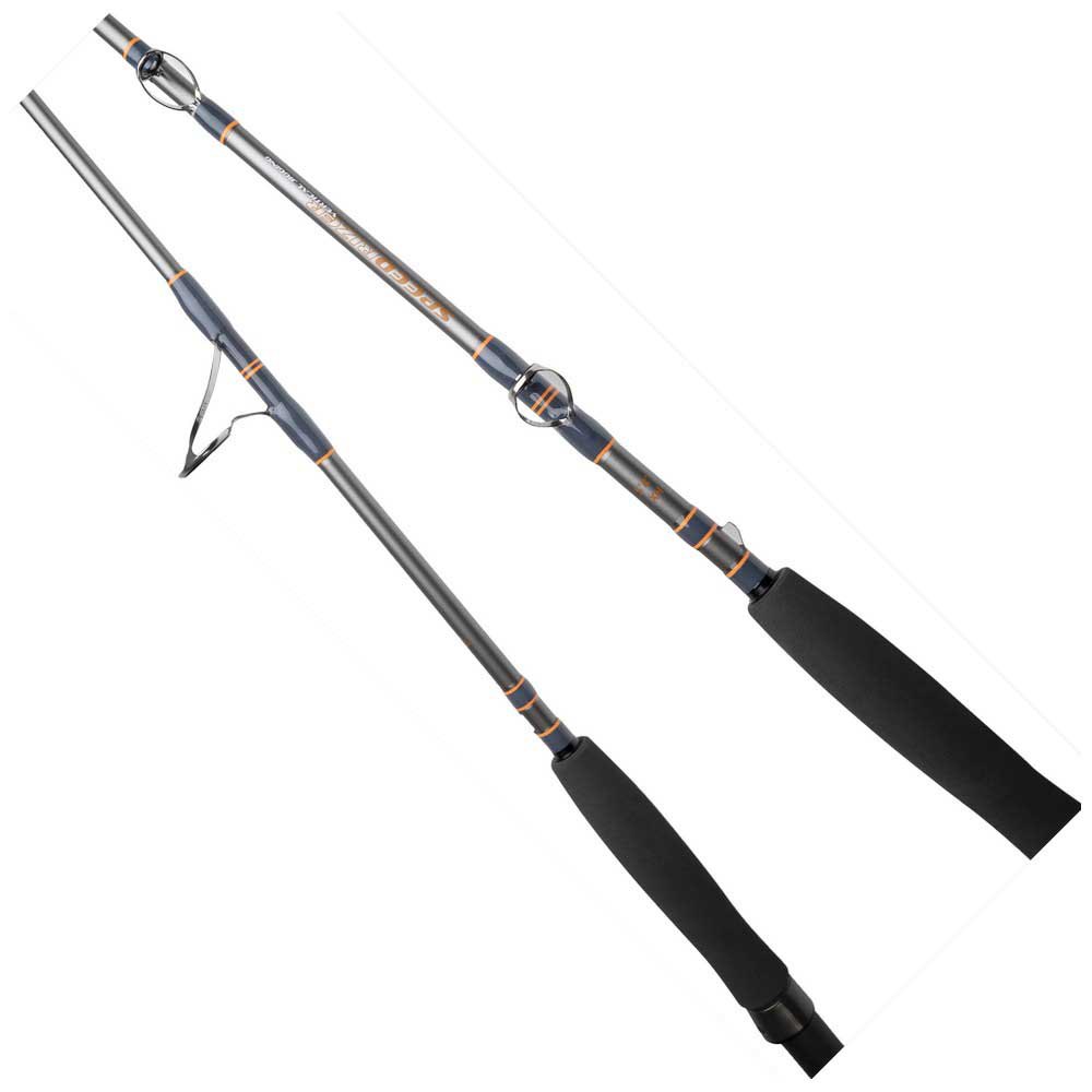 Mustad Speed Rizer Jigging Rod Silber 1.50 m / 100-250 g von Mustad