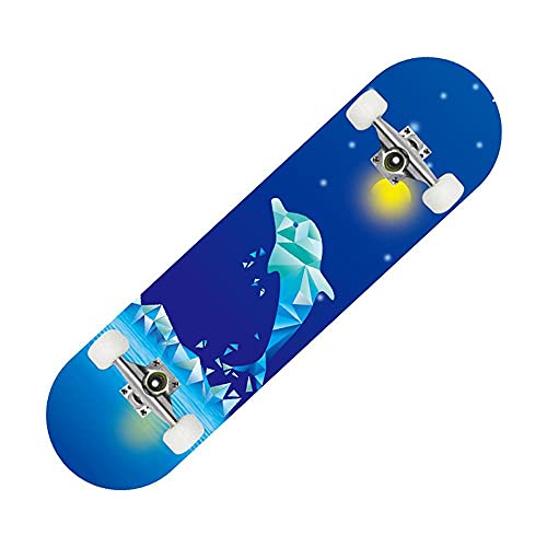 LIU Komplettes Skateboard 31x8 Zoll Double Kick Skateboard, Trick Board für Erwachsene, Kinder und Jugendliche. von NICE16CY