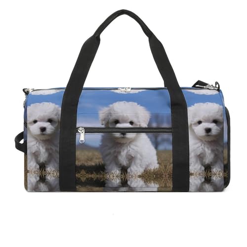 Sportbeutel für Herren und Damen, Reisetasche, Bichon Frisé, leicht, Handgepäck, Sporttasche für Reisen, Stil, Einheitsgröße, Einheitsgröße, Stil:, Einheitsgröße von NTVOWPZO