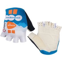 DSM-Firmenich PostNL 2024 Handschuhe, für Herren, Größe 2XL, Fahrradhandschuhe, DSM-Firmenich PostNL 2024 Handschuhe, für Herren, Größe 2XL, Fahrradhandschuhe, von Nalini