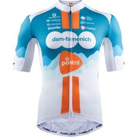 DSM-Firmenich PostNL 2024 Kurzarmtrikot, für Herren, Größe 2XL, Radshirt, DSM-Firmenich PostNL 2024 Kurzarmtrikot, für Herren, Größe 2XL, Radshirt, von Nalini