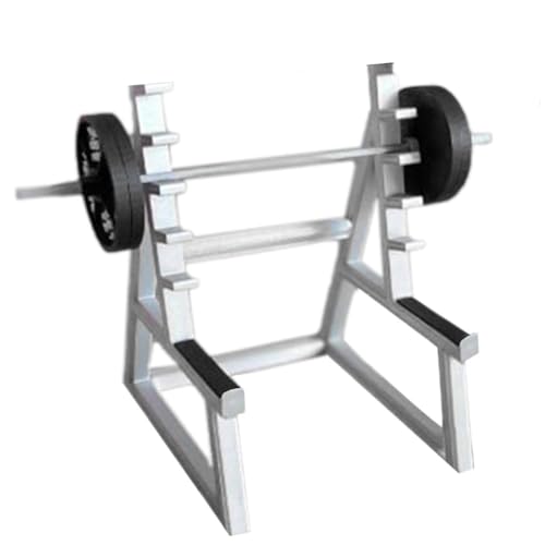 Naugan Squat Rack Stifthalter Spaß Fürs Büro Lustiger Stifthalter für Männer Schreibtisch -Stift- (1 Stange mit 4 Gewichtsplatten) Langlebig Einfache Installation von Naugan