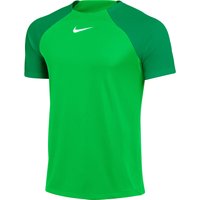 NIKE Academy Pro Dri-FIT Trainingsshirt Herren green spark/lucky green/white S von Nike